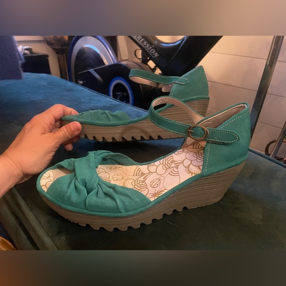 Fly - Picture 5 of 8